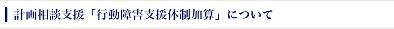 計画相談支援「行動障害支援体制加算」について